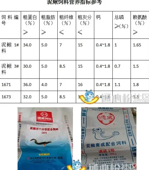 泥鳅养殖户如何选择与投喂饲料？