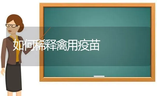 如何稀释禽用疫苗 | 家禽养殖