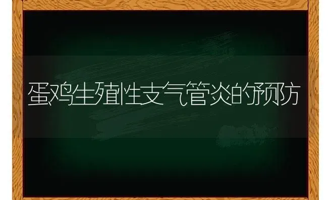 蛋鸡生殖性支气管炎的预防 | 家禽养殖