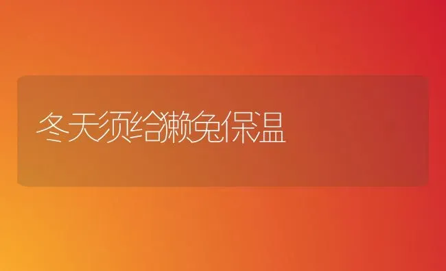 冬天须给獭兔保温 | 家畜养殖