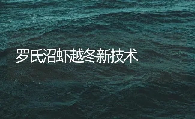 罗氏沼虾越冬新技术 | 海水养殖