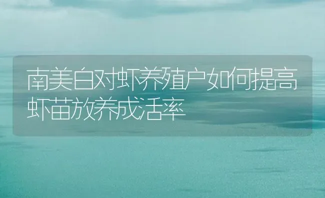 南美白对虾养殖户如何提高虾苗放养成活率 | 海水养殖