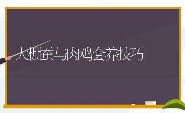 大棚蚕与肉鸡套养技巧 | 家禽养殖