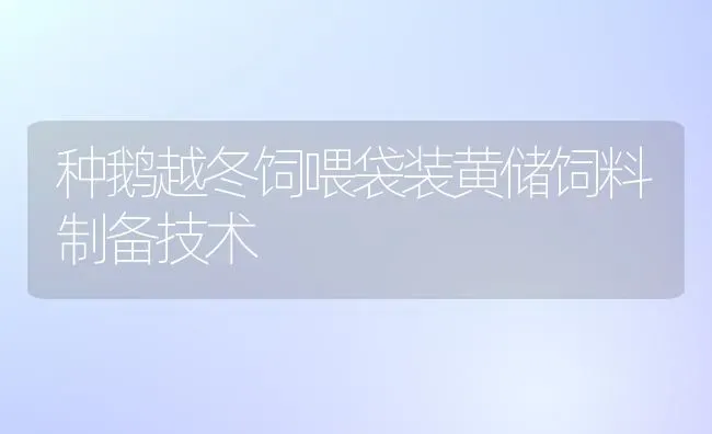 种鹅越冬饲喂袋装黄储饲料制备技术 | 家禽养殖