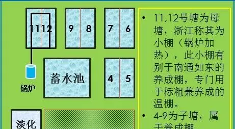 土塘对虾养殖最高近2000斤/亩，平均亩利润突破2万元！