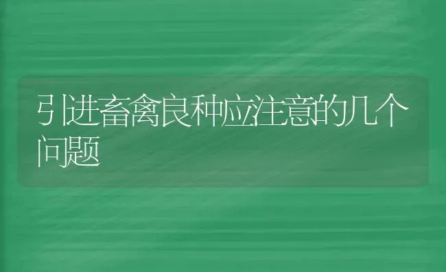 引进畜禽良种应注意的几个问题 | 家禽养殖
