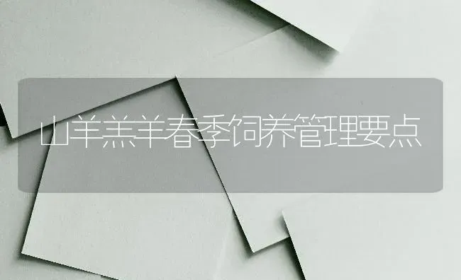 山羊羔羊春季饲养管理要点 | 家畜养殖