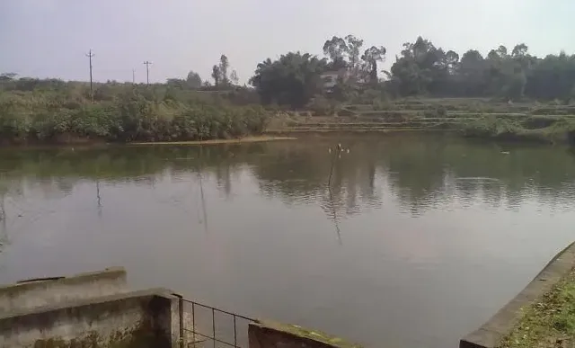 【厂家测评】低温下海联科3300+3105运用效果