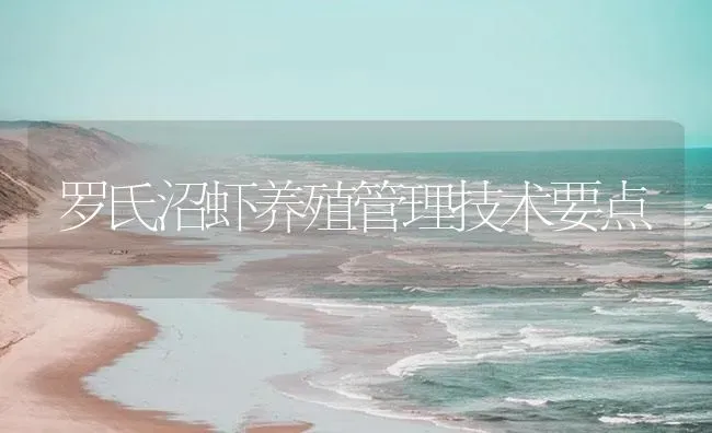 罗氏沼虾养殖管理技术要点 | 海水养殖