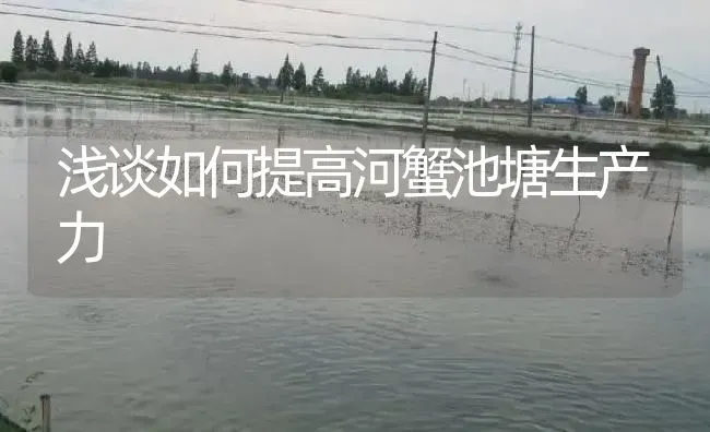 浅谈如何提高河蟹池塘生产力 | 淡水养殖