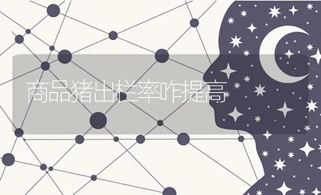 商品猪出栏率咋提高 | 家畜养殖