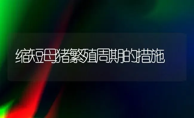 缩短母猪繁殖周期的措施 | 家畜养殖