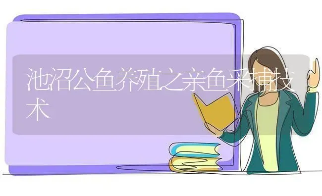 池沼公鱼养殖之亲鱼采捕技术 | 动物养殖百科