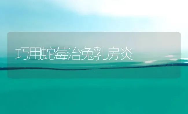 巧用蛇莓治兔乳房炎 | 特种养殖