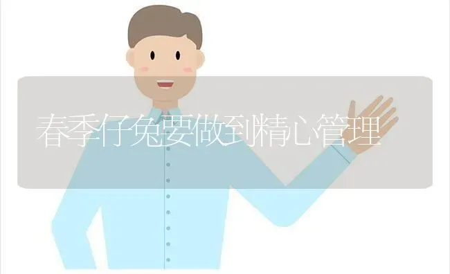 春季仔兔要做到精心管理 | 家畜养殖