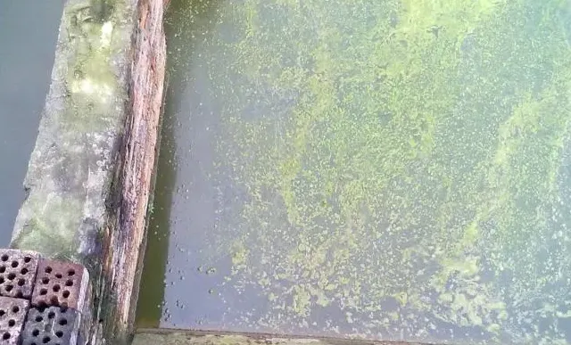 【厂家测评】低温下海联科3300+3105运用效果