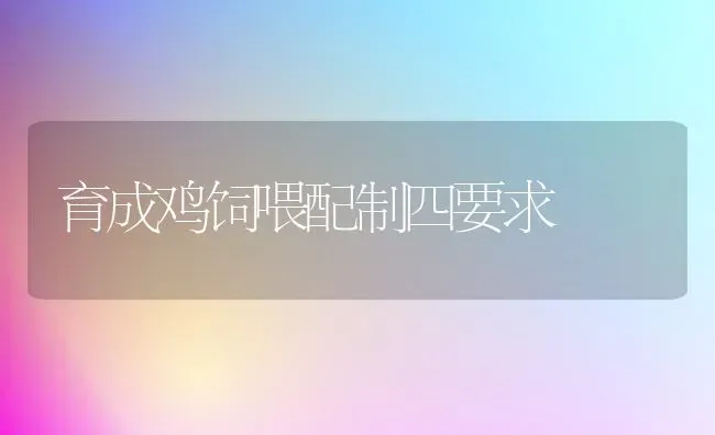 育成鸡饲喂配制四要求 | 家禽养殖