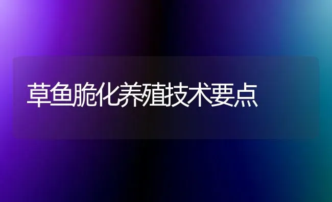 草鱼脆化养殖技术要点 | 淡水养殖