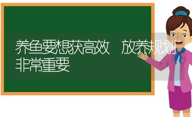 养鱼要想获高效 放养规划非常重要 | 动物养殖百科