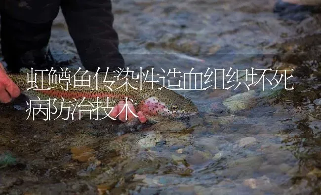 虹鳟鱼传染性造血组织坏死病防治技术 | 淡水养殖