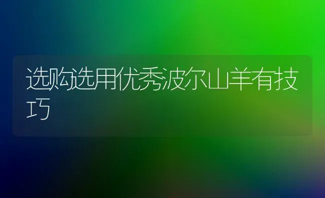 选购选用优秀波尔山羊有技巧 | 家畜养殖