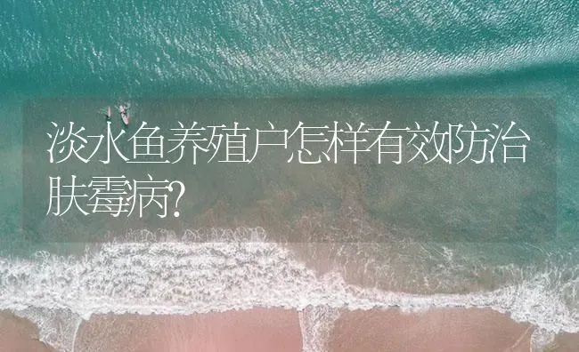 淡水鱼养殖户怎样有效防治肤霉病？ | 养殖病虫害防治