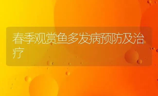 春季观赏鱼多发病预防及治疗 | 淡水养殖