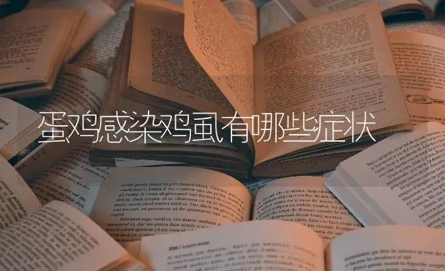 蛋鸡感染鸡虱有哪些症状 | 家禽养殖