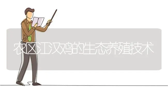 农区江汉鸡的生态养殖技术 | 家禽养殖