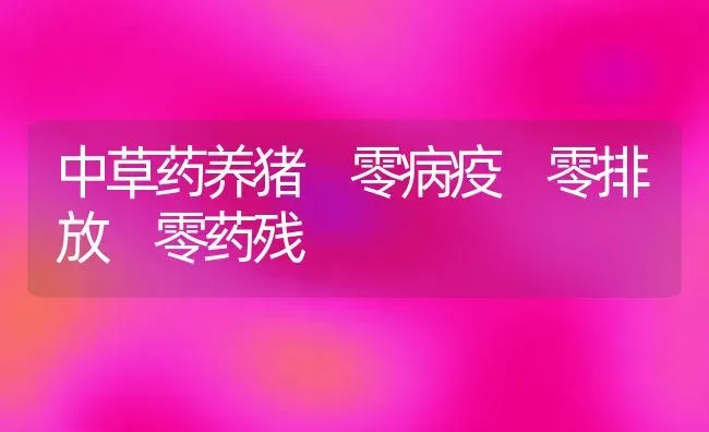 中草药养猪 零病疫 零排放 零药残 | 养殖病虫害防治