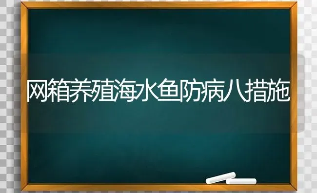 网箱养殖海水鱼防病八措施 | 淡水养殖