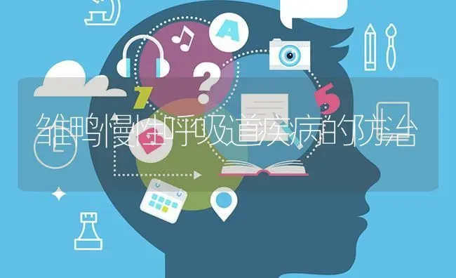 生态草鸡养殖要点 | 家禽养殖