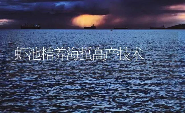 虾池精养海蜇高产技术 | 海水养殖