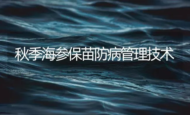 秋季海参保苗防病管理技术 | 海水养殖