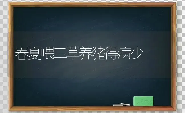 春夏喂三草养猪得病少 | 家畜养殖