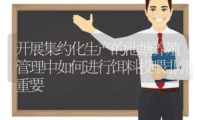 开展集约化生产的池塘养殖管理中如何进行饵料投喂非常重要 | 动物养殖百科