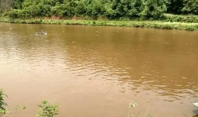治疗鱼病要综合分析找出病因，才能有效减少误诊