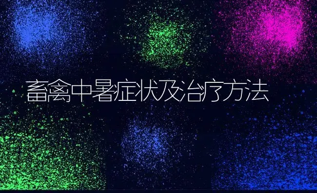 畜禽中暑症状及治疗方法 | 家禽养殖