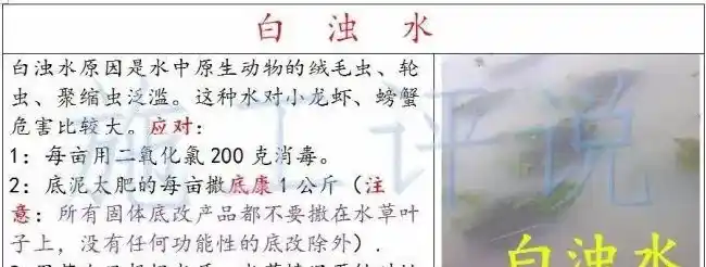 养殖户如何做到让水草清爽，让虾蟹健康
