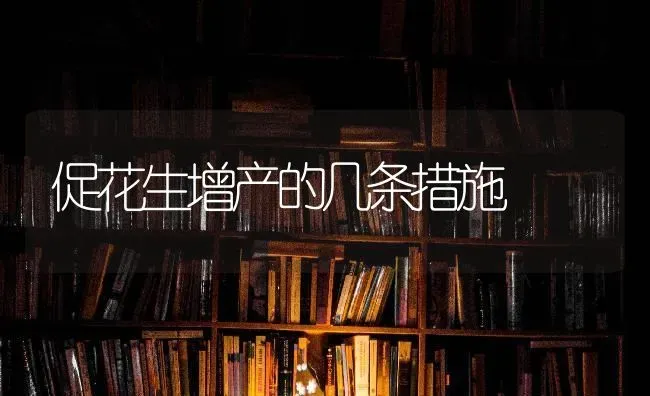 鸭子的人工授精增效方法 | 家禽养殖