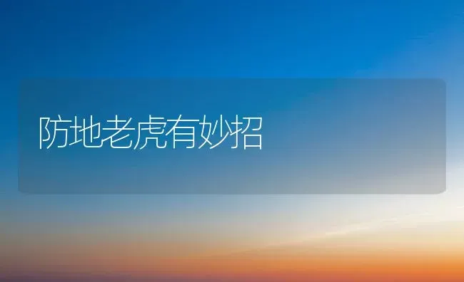 母兔产后瘫痪疗法 | 家畜养殖