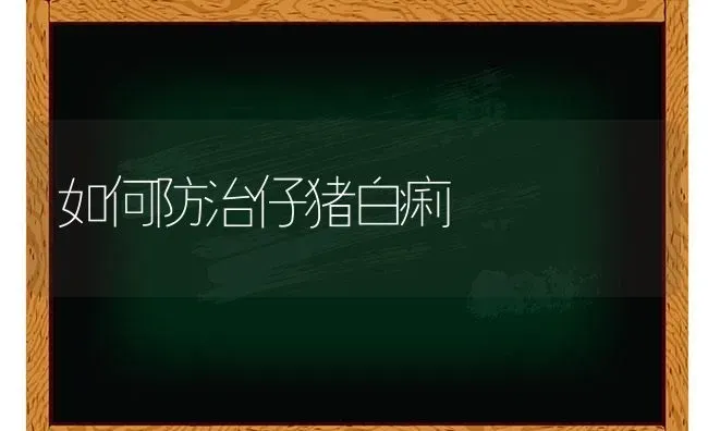 如何防治仔猪白痢 | 家畜养殖