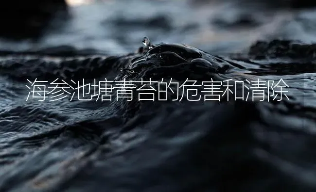 海参池塘青苔的危害和清除 | 海水养殖