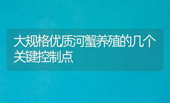 大规格优质河蟹养殖的几个关键控制点 | 淡水养殖