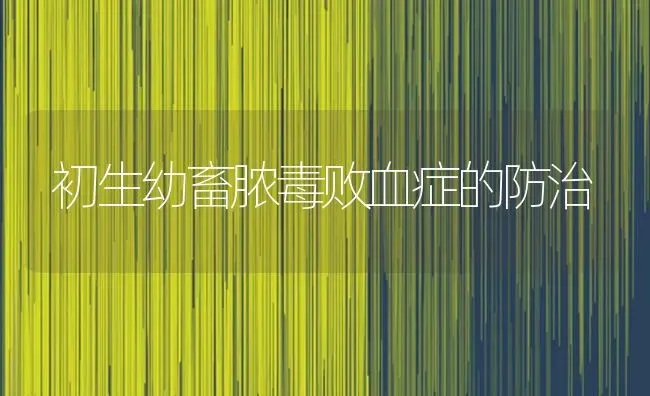 初生幼畜脓毒败血症的防治 | 家畜养殖