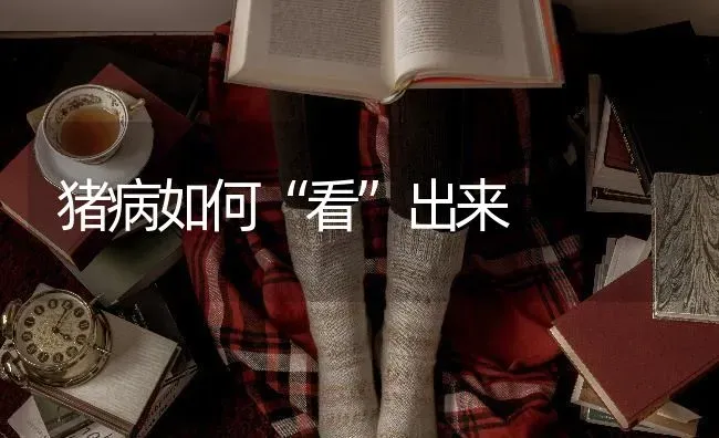 猪病如何“看”出来 | 家畜养殖