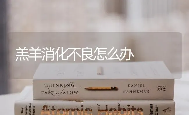 羔羊消化不良怎么办 | 家畜养殖