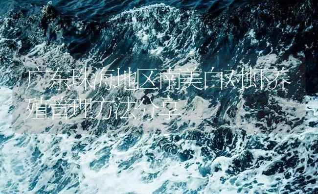 广东珠海地区南美白对虾养殖管理方法分享 | 海水养殖