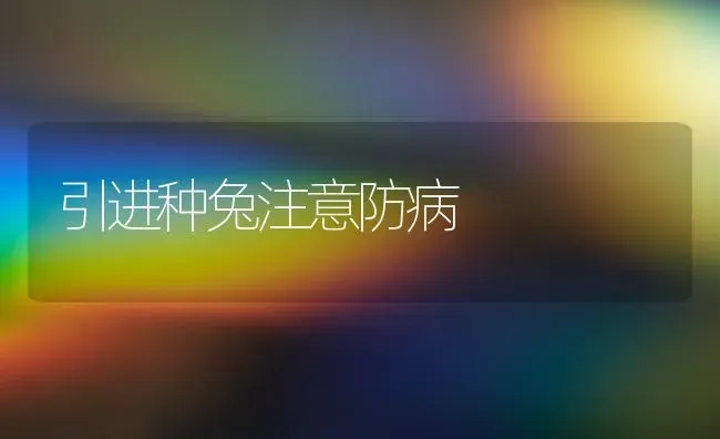 引进种兔注意防病 | 家畜养殖