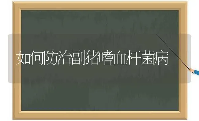 如何防治副猪嗜血杆菌病 | 家畜养殖